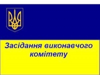 Проведення двадцять дев’ятого засідання виконавчого комітету Сквирської міської ради.